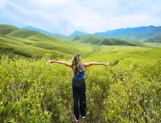 Dzukou Valley