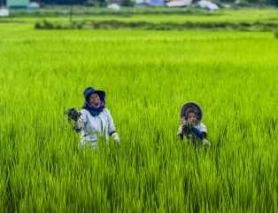 Ziro Valley