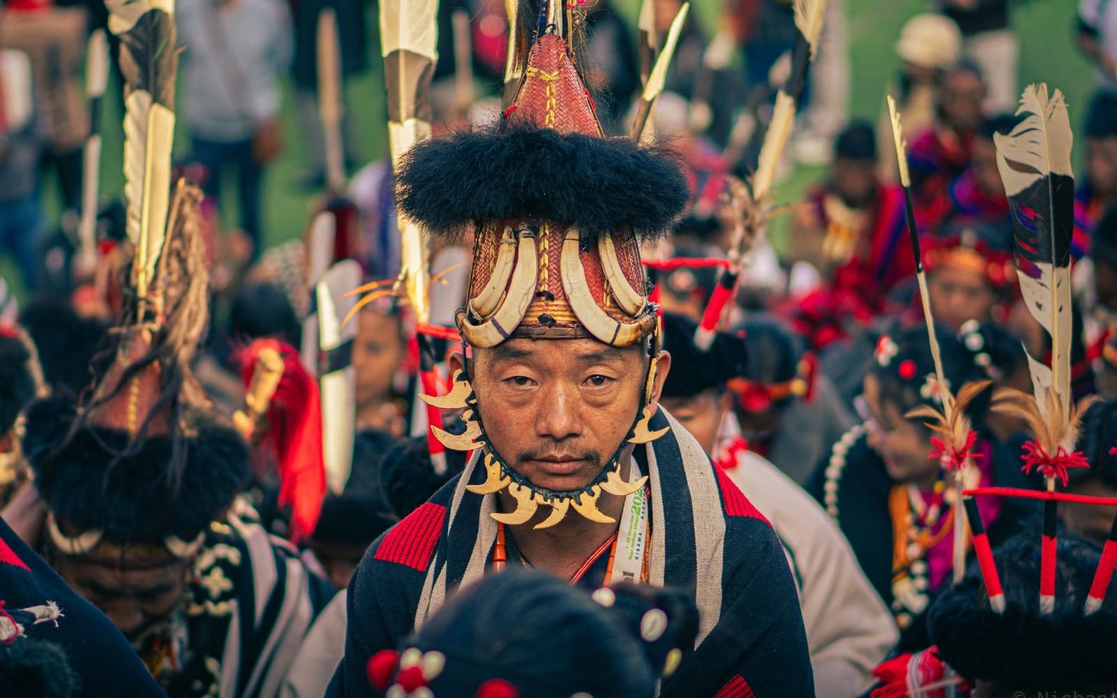 Hornbill Festival