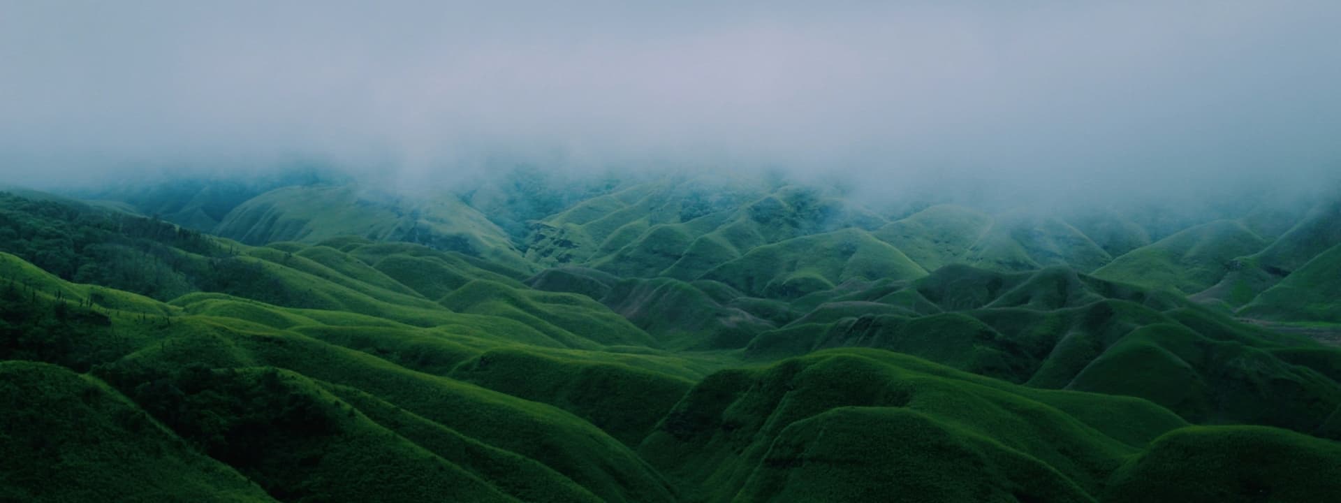 Northeast Landscape